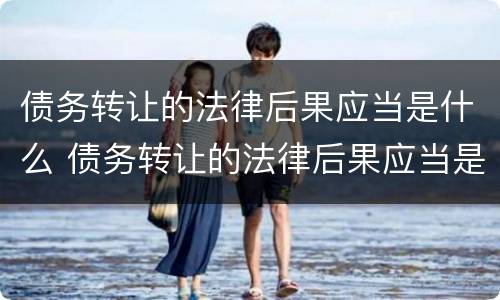 债务转让的法律后果应当是什么 债务转让的法律后果应当是什么样的