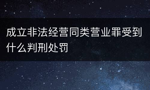 成立非法经营同类营业罪受到什么判刑处罚