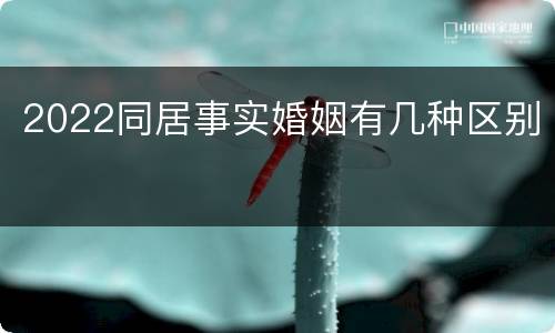 2022同居事实婚姻有几种区别