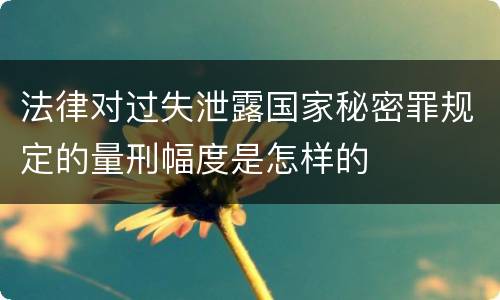 法律对过失泄露国家秘密罪规定的量刑幅度是怎样的