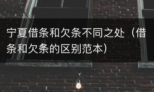 宁夏借条和欠条不同之处（借条和欠条的区别范本）