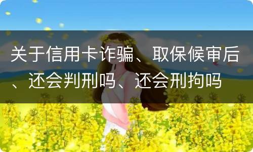 关于信用卡诈骗、取保候审后、还会判刑吗、还会刑拘吗