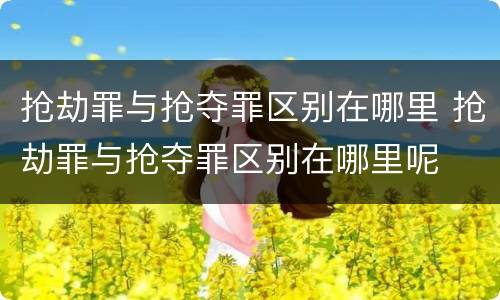 抢劫罪与抢夺罪区别在哪里 抢劫罪与抢夺罪区别在哪里呢