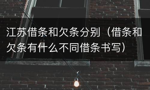 江苏借条和欠条分别（借条和欠条有什么不同借条书写）