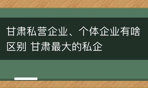 甘肃私营企业、个体企业有啥区别 甘肃最大的私企