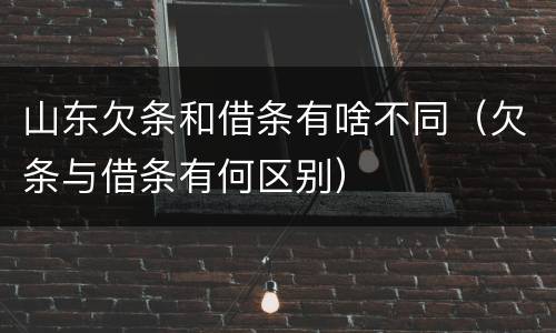 山东欠条和借条有啥不同（欠条与借条有何区别）