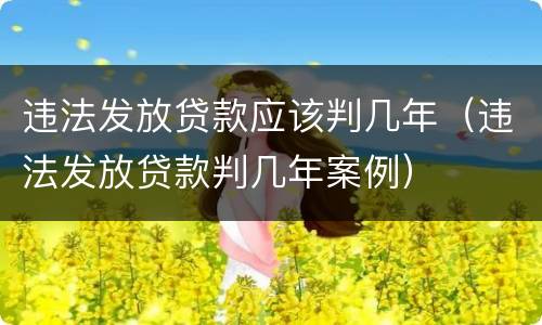 违法发放贷款应该判几年（违法发放贷款判几年案例）
