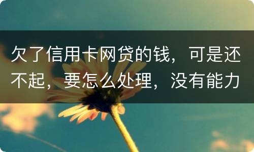 欠了信用卡网贷的钱，可是还不起，要怎么处理，没有能力还款不是不想还，做梦都想还清