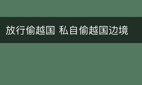 放行偷越国 私自偷越国边境