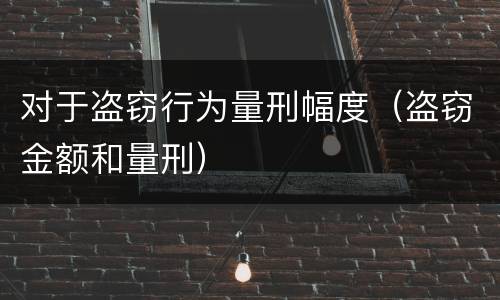 对于盗窃行为量刑幅度（盗窃金额和量刑）