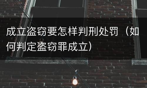成立盗窃要怎样判刑处罚（如何判定盗窃罪成立）