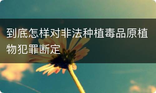 到底怎样对非法种植毒品原植物犯罪断定