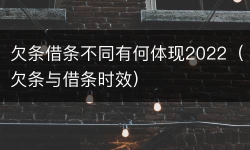 欠条借条不同有何体现2022（欠条与借条时效）
