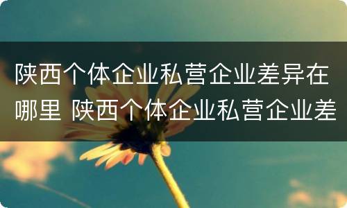 陕西个体企业私营企业差异在哪里 陕西个体企业私营企业差异在哪里公示