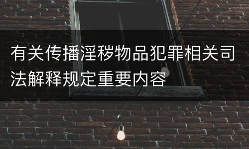 有关传播淫秽物品犯罪相关司法解释规定重要内容