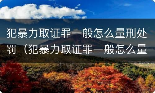 犯暴力取证罪一般怎么量刑处罚（犯暴力取证罪一般怎么量刑处罚）