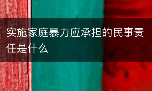实施家庭暴力应承担的民事责任是什么
