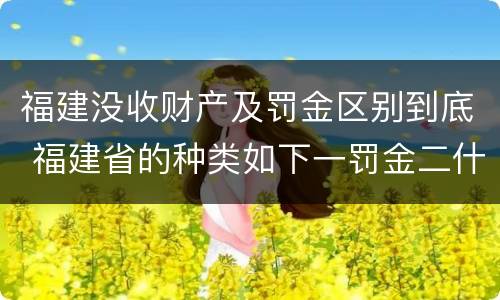 福建没收财产及罚金区别到底 福建省的种类如下一罚金二什么三没收财产