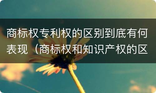 商标权专利权的区别到底有何表现（商标权和知识产权的区别）