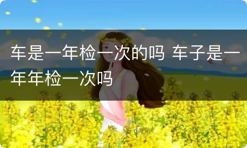 车是一年检一次的吗 车子是一年年检一次吗