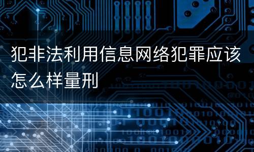 犯非法利用信息网络犯罪应该怎么样量刑