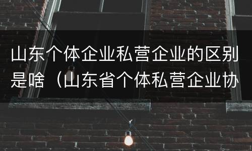 山东个体企业私营企业的区别是啥（山东省个体私营企业协会酒业分会）