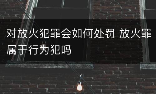 对放火犯罪会如何处罚 放火罪属于行为犯吗