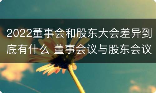 2022董事会和股东大会差异到底有什么 董事会议与股东会议的区别