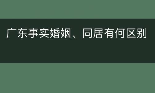 广东事实婚姻、同居有何区别