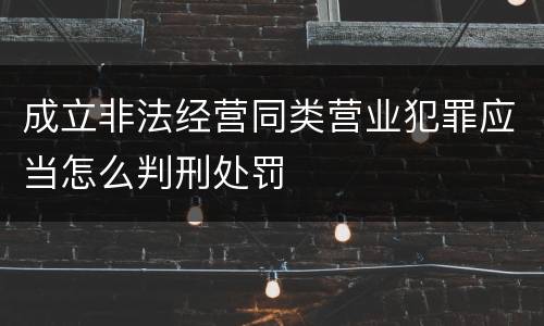 成立非法经营同类营业犯罪应当怎么判刑处罚