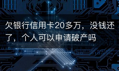 欠银行信用卡20多万，没钱还了，个人可以申请破产吗