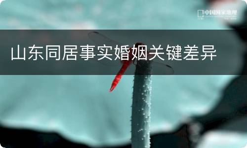 山东同居事实婚姻关键差异