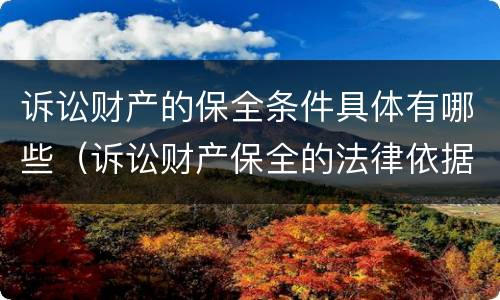 诉讼财产的保全条件具体有哪些（诉讼财产保全的法律依据）