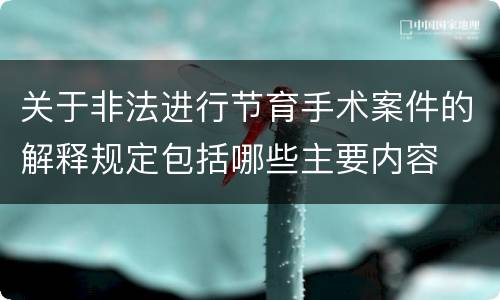 关于非法进行节育手术案件的解释规定包括哪些主要内容