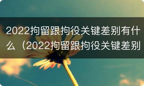 2022拘留跟拘役关键差别有什么（2022拘留跟拘役关键差别有什么不一样）