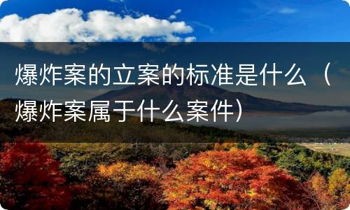 爆炸案的立案的标准是什么（爆炸案属于什么案件）