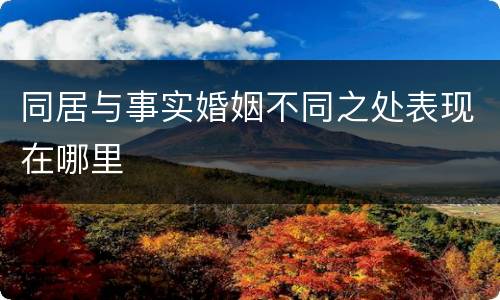 同居与事实婚姻不同之处表现在哪里