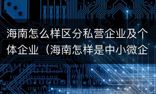 海南怎么样区分私营企业及个体企业（海南怎样是中小微企业怎么划分）