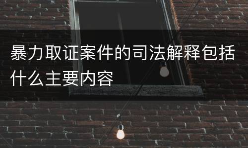 暴力取证案件的司法解释包括什么主要内容