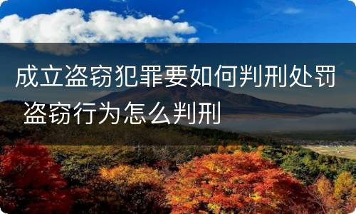 成立盗窃犯罪要如何判刑处罚 盗窃行为怎么判刑
