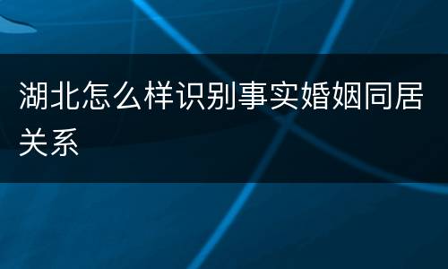 湖北怎么样识别事实婚姻同居关系