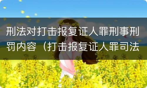刑法对打击报复证人罪刑事刑罚内容（打击报复证人罪司法解释）