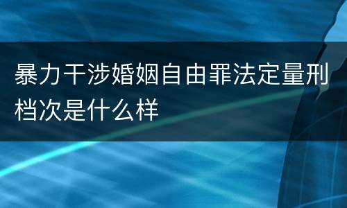 暴力干涉婚姻自由罪法定量刑档次是什么样