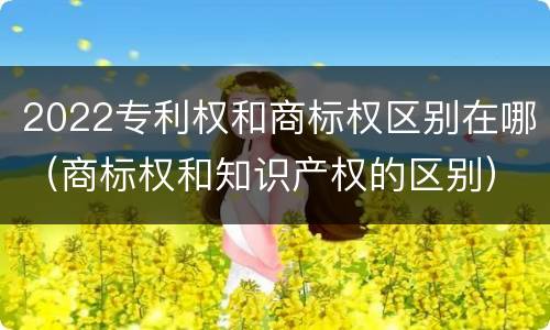 2022专利权和商标权区别在哪（商标权和知识产权的区别）