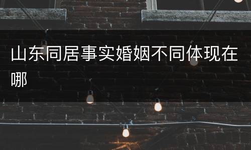 山东同居事实婚姻不同体现在哪