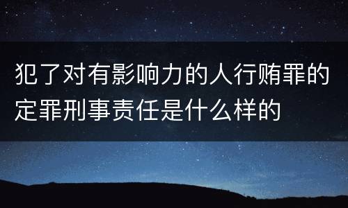 犯了对有影响力的人行贿罪的定罪刑事责任是什么样的