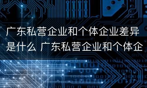 广东私营企业和个体企业差异是什么 广东私营企业和个体企业差异是什么原因