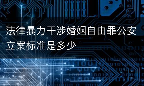 法律暴力干涉婚姻自由罪公安立案标准是多少