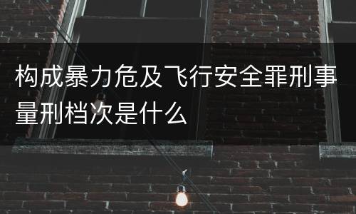 构成暴力危及飞行安全罪刑事量刑档次是什么