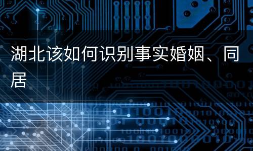 湖北该如何识别事实婚姻、同居
